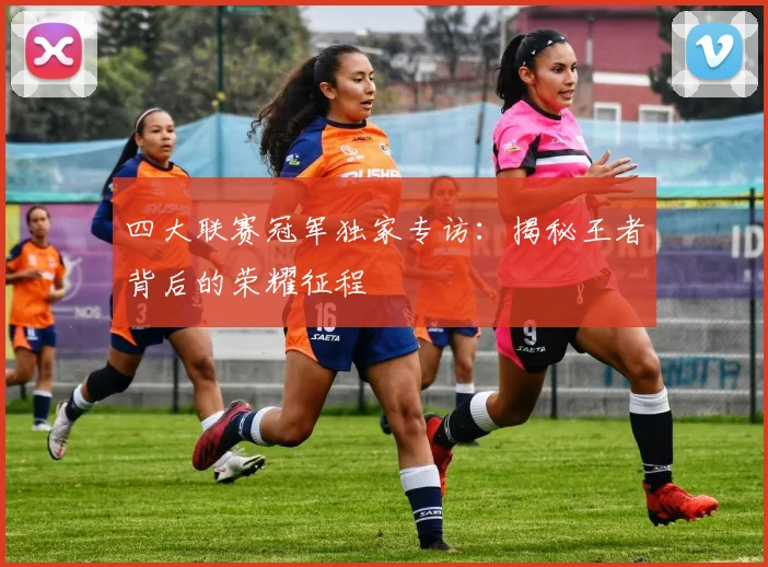 四大联赛冠军独家专访：揭秘王者背后的荣耀征程