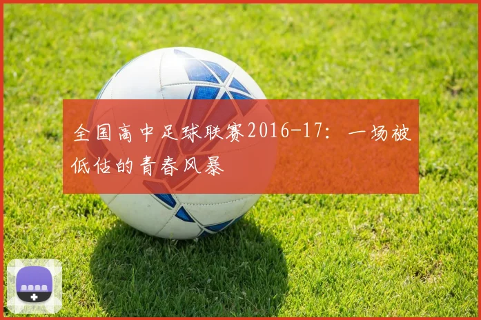 全国高中足球联赛2016-17：一场被低估的青春风暴
